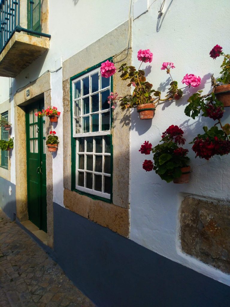 Σε ένα χωριό της Πορτογαλίας, τα γεράνια γίνονται πολύχρωμα στολίδια στους λευκούς τοίχους.